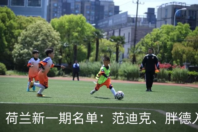 荷兰新一期名单：范迪克、胖德入选，廷伯回归